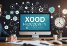 10 stratégies efficaces pour booster la productivité de votre entreprise sur Xoood.com